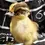 Thumbnail: Two-tone two headed duckling taxidermy