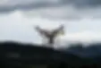 64638dc328fbe7caae6b743b_drone image.webp