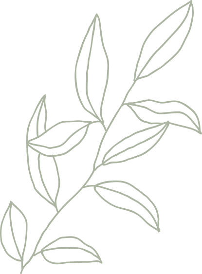 decor2-h1.png