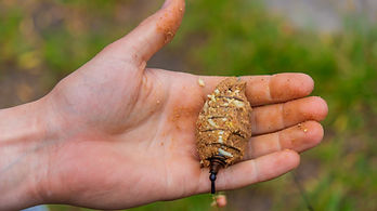 squash_hand-holding-fishing-bait-outdoors-in-daylight-2026-09-22-03-28-28-utc.jpg