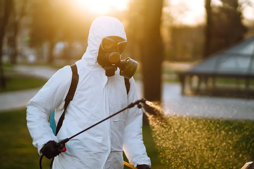 squash_protective-suited-worker-sprays-outdoors-during-go-2026-03-20-03-16-20-utc.webp