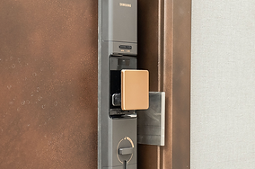 Keyless access is possible.png