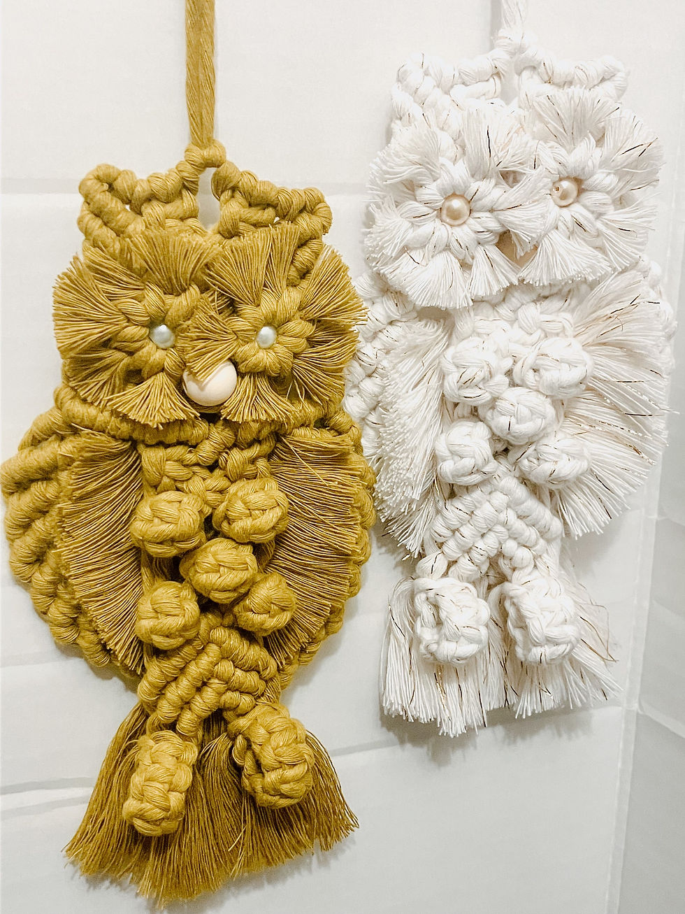 Macrame Owl Workshop