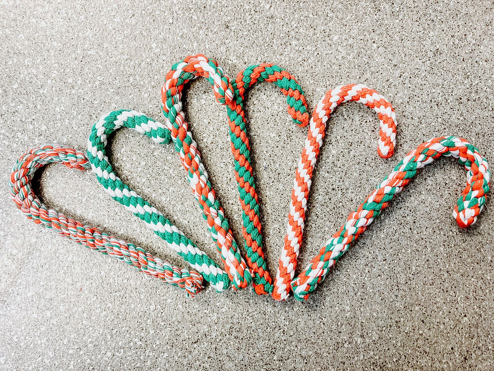 Macrame Candy Cane Workshop @ The Ark