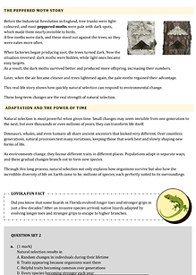 Screenshot 2025-12-04 110753.png