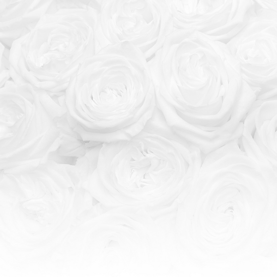 Conference Background-2.png