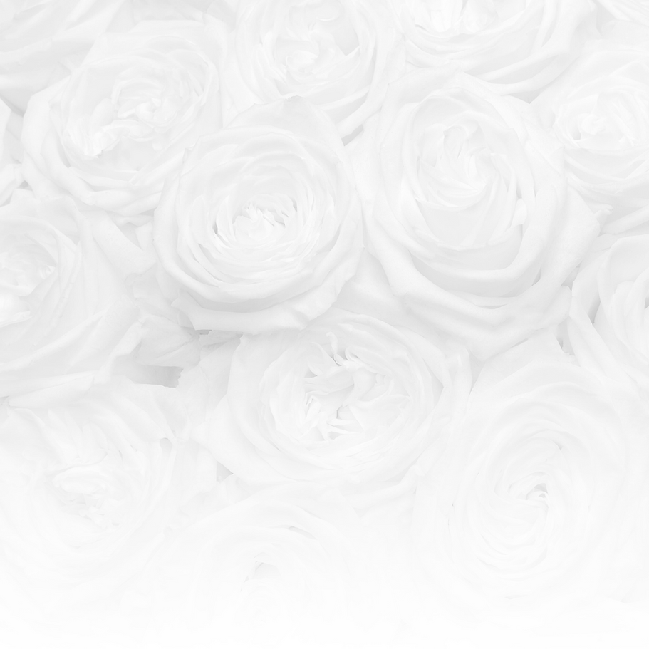 Conference Background-2.png