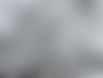 The Trust of the Raven