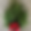 Thumbnail: Norway Spruce Foliage