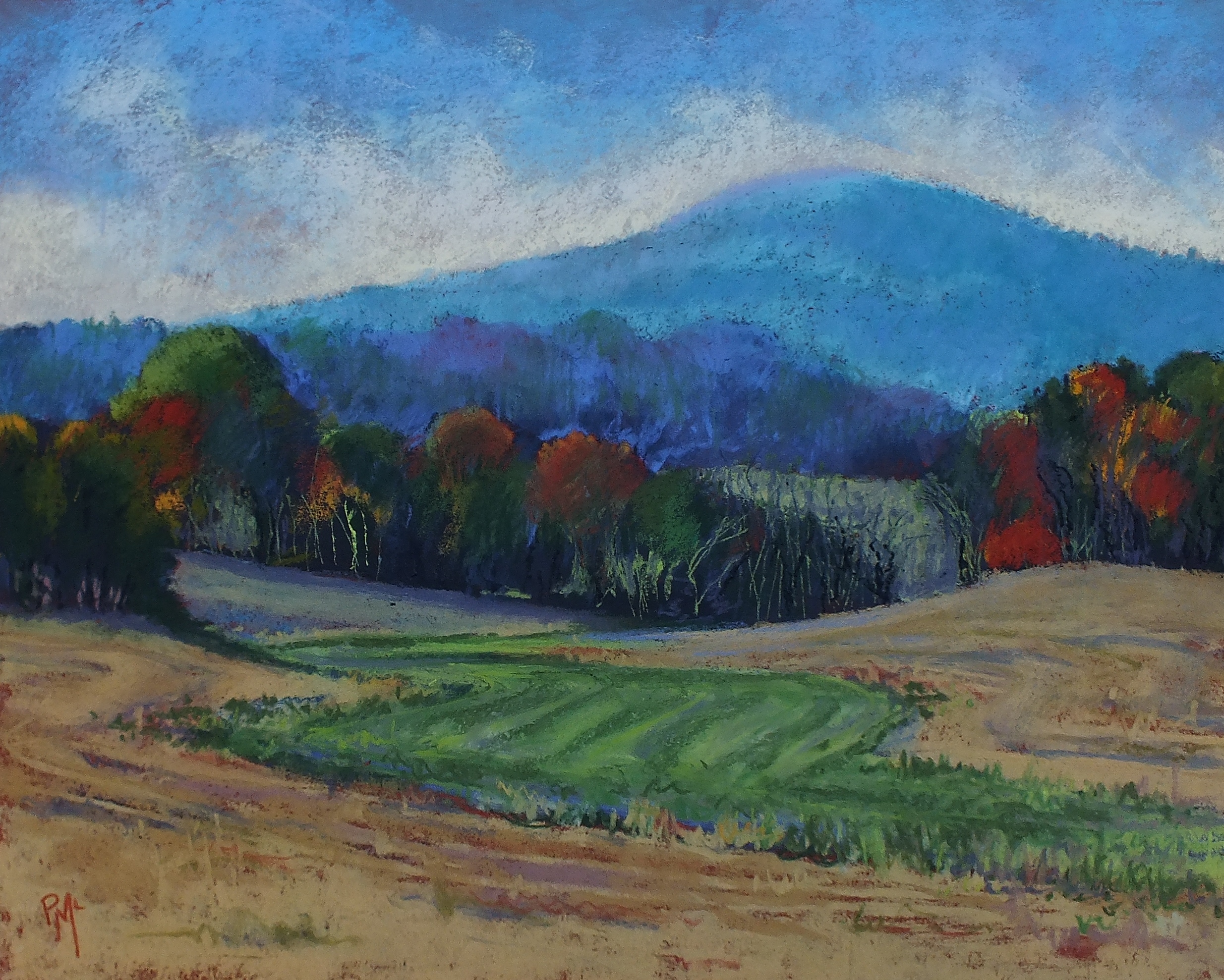 Sugarloaf Swale