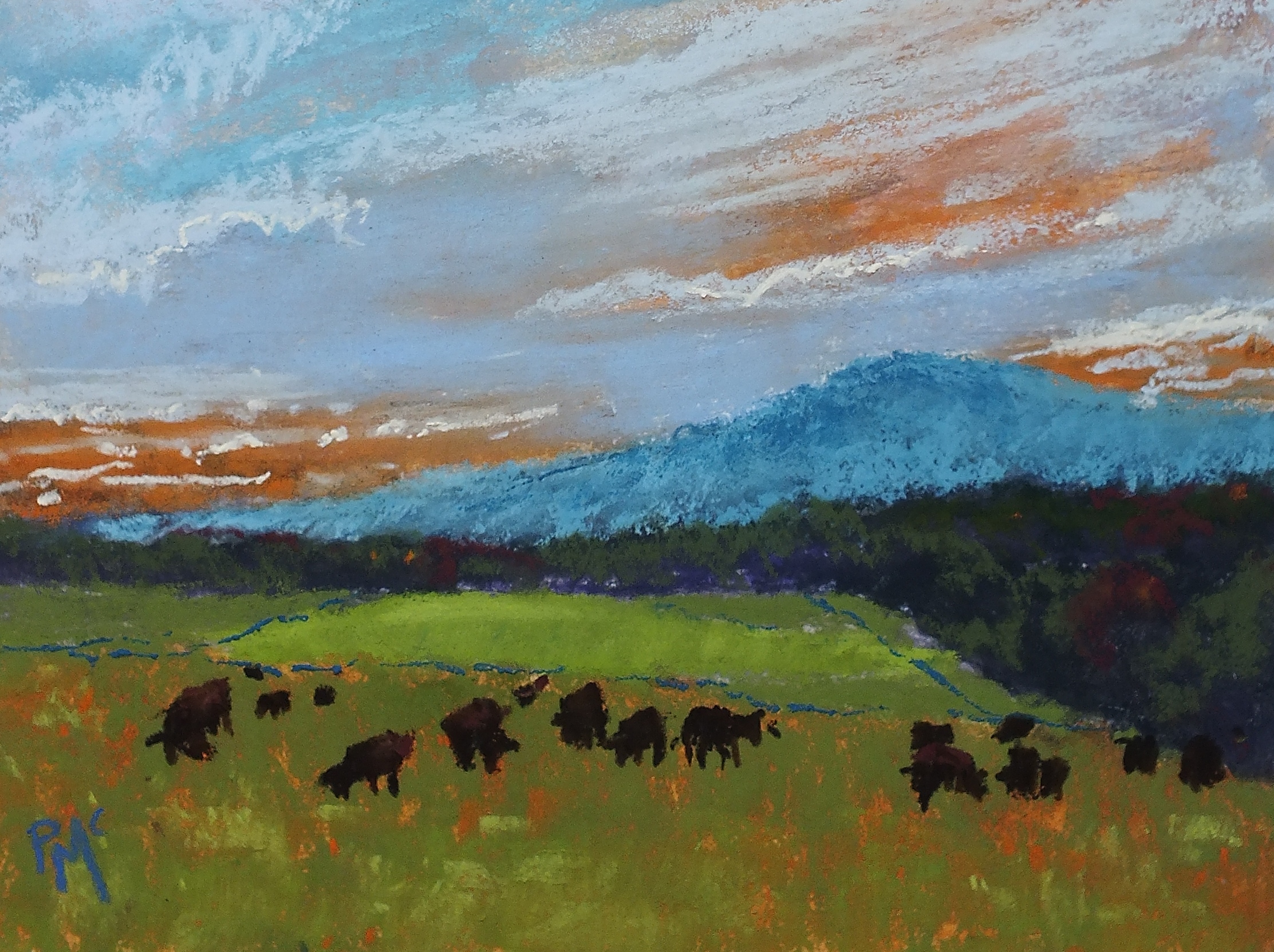 Browsing Cattle 6x8
