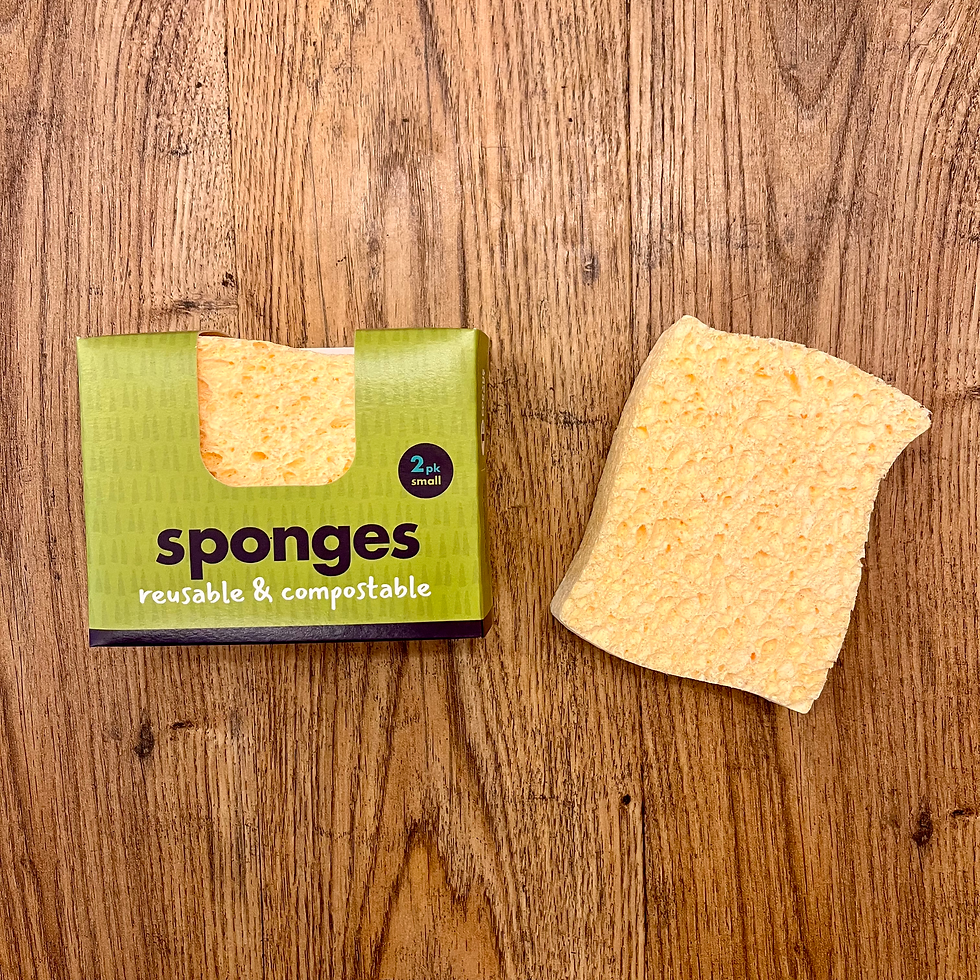 Compostable sponge - 2 pack