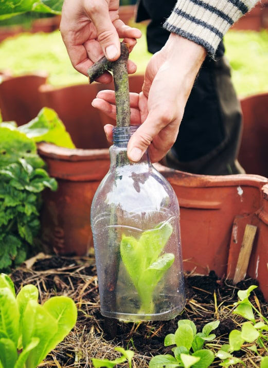 Thumbnail: Garden Hacks