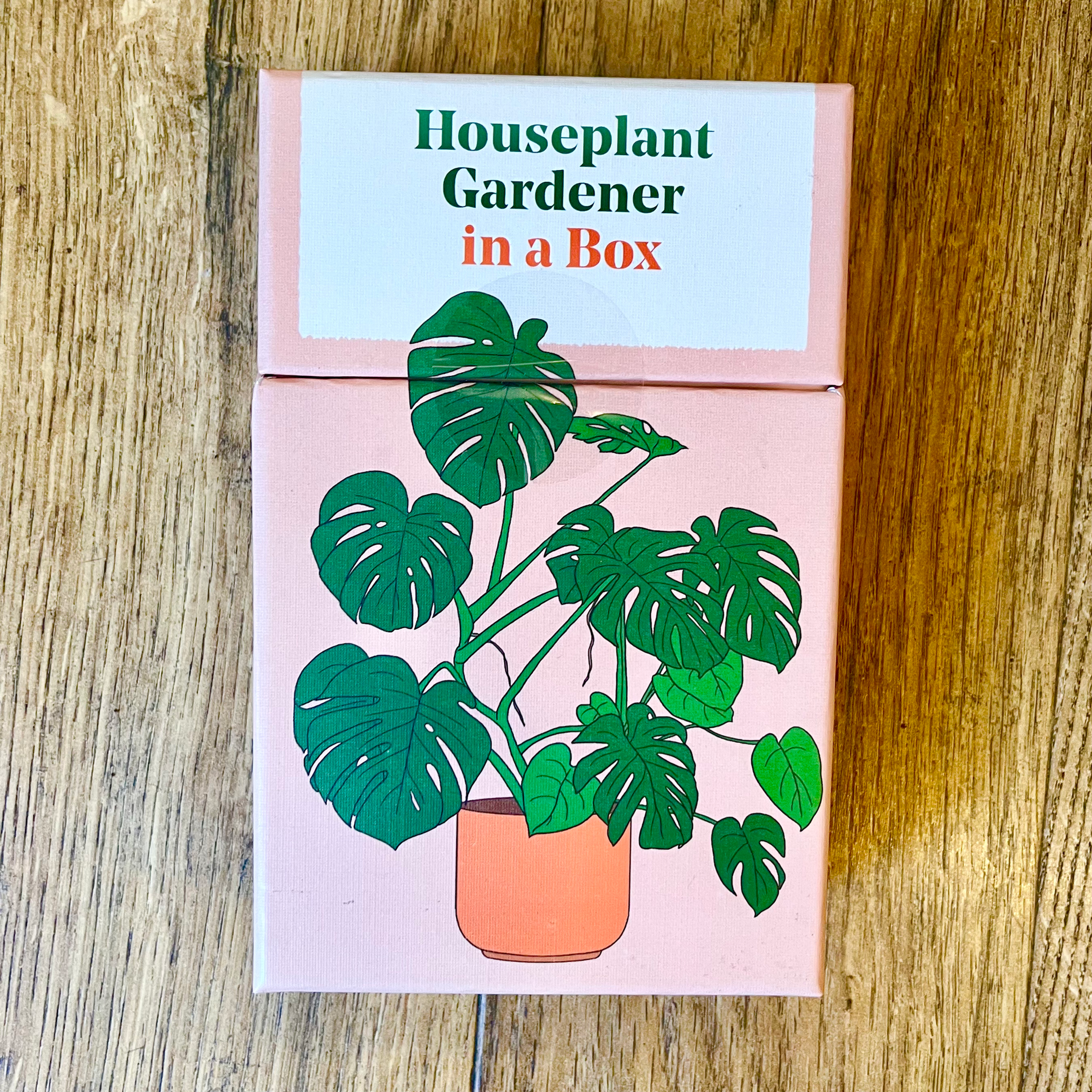 Houseplant Gardener in a Box
