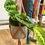 Thumbnail: Macramé plant hangers