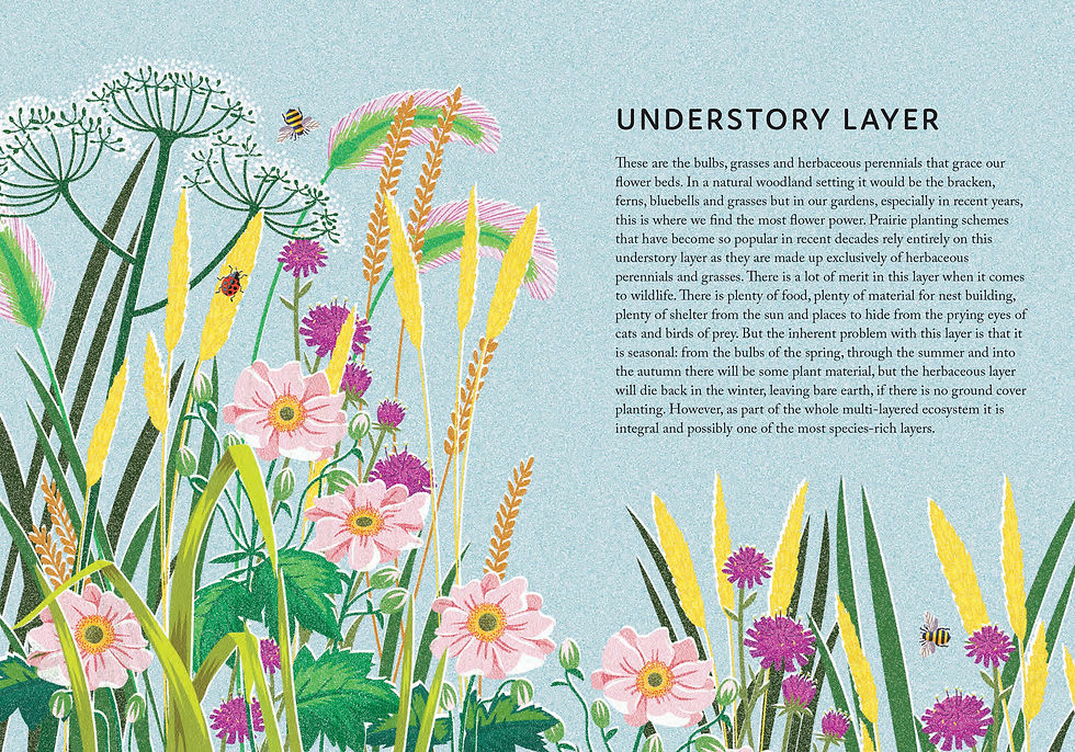 Thumbnail: Rewild Your Garden