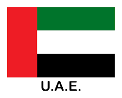 Gaza - Aiuti umanitari dagli Emirati Arabi