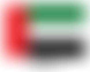 Gaza - Aiuti umanitari dagli Emirati Arabi