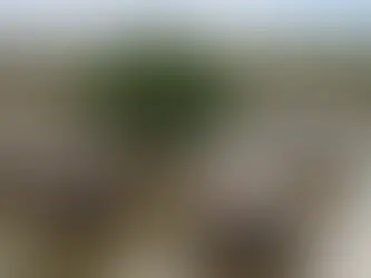 Sudan - Alluvioni oltre la guerra