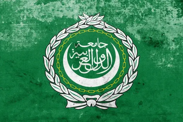 Lega Araba - Israele lasci Gaza e permetta aiuti