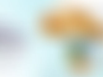 Piano Mattei - Africa Champions Program 2026