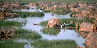Iraq - Disastro ambientale sul fiume Tigri