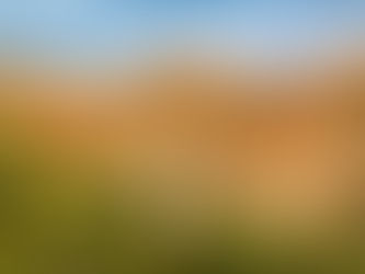 Marocco - Il più antico insediamento agricolo d’Africa