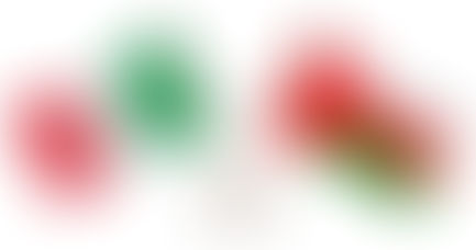 Italia-Oman - Ambasciatore Al Said: "Ottime relazioni bilaterali"