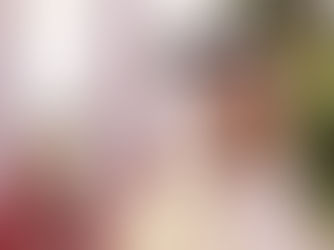 Qatar - Primo ministro Al-Thani su pace a Gaza