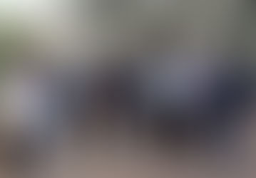 Cisgiordania - AICS a Battir