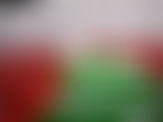 Doha - Funerali delle vittime palestinesi e importanti incontri di vertice