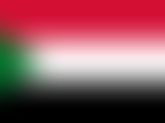 Sudan - Condanna per dichiarazione della RSF di governo fantasma