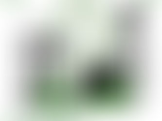 Libano - Assadakah con le famiglie del Sud