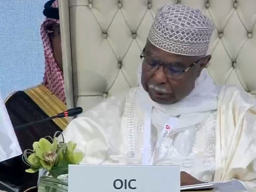 Doha - Intervento del segretario generale OIC