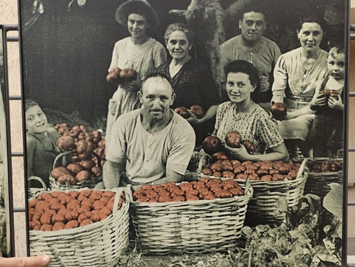 Stampa Estera in Liguria – Meraviglie e tesori da scoprire e gustare