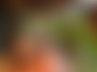 Semuc Champey (Lanquin)