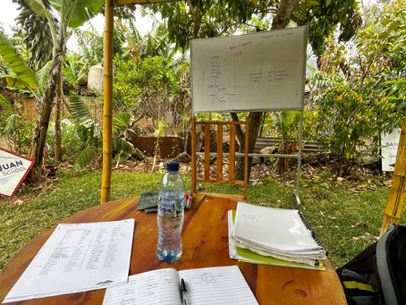 San Juan Spanish School