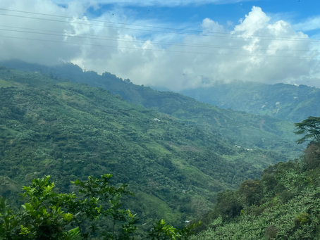 Le triangle du café