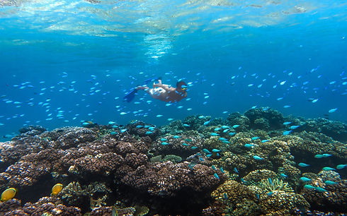 Mantaray Island Resort-6 Escape Video (3) (1).jpg