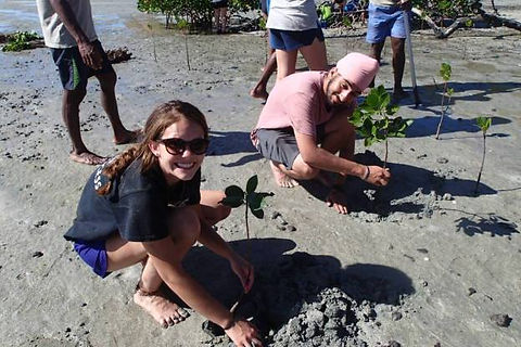 Replenishing Mangroves in Fiji's Yasawa Islands