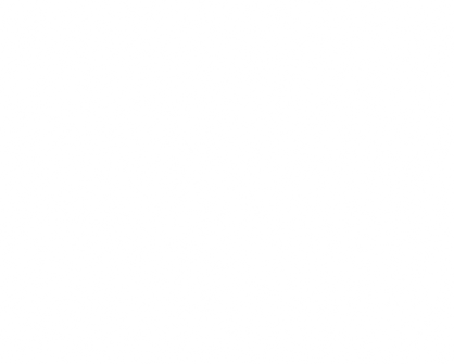 white turtle pattern_on transparent BG.png