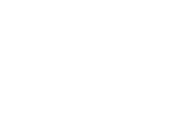 white turtle pattern_on transparent BG.png
