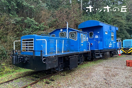 S__11124876.jpg