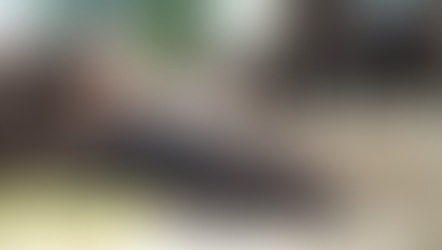 Newsletter #01