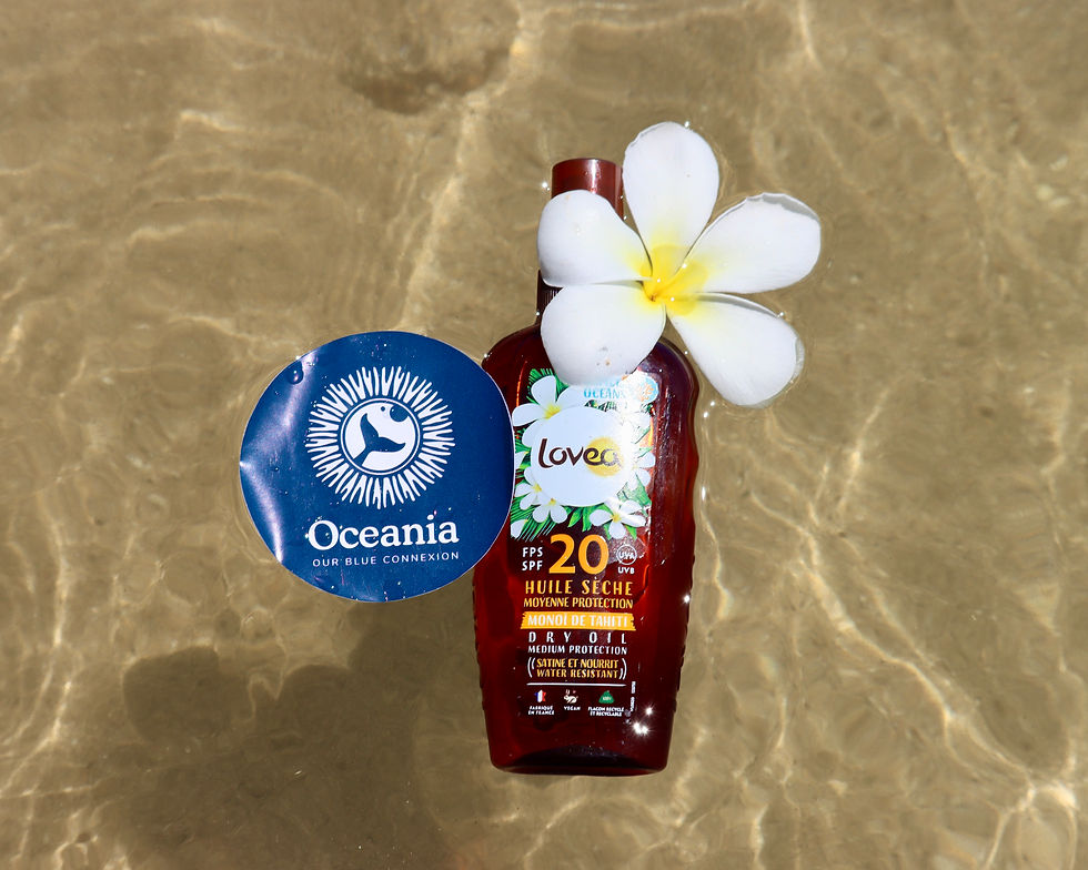 IMG_3531