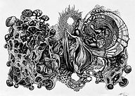 Monika Galantai | Taming butterflies | HUNGARY