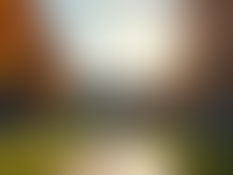 USA f-1 student visa process: Navigating F-1 Visa Requirements for US Study