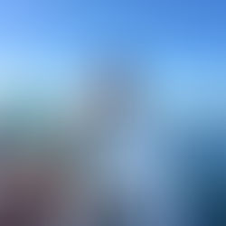 2025年11月22日(土)