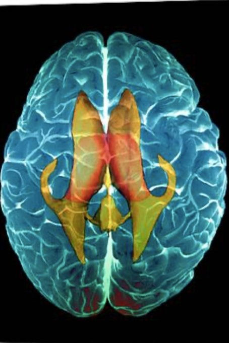 Exploring Nervous System Regulation