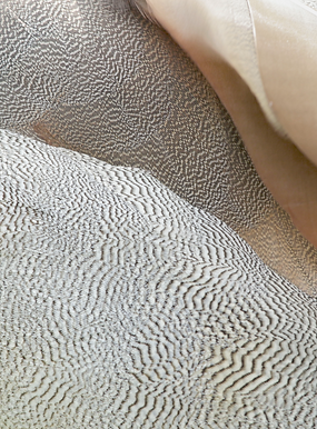 Sand2.png